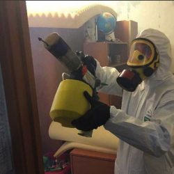 Уничтожение клопов в квартире. поселок Новый Свет